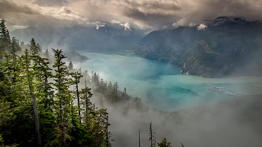 green leafed trees with mist in distance teal calm body of water at daytime thumbnail
