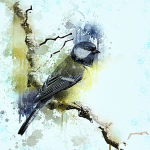 gray bird painting thumbnail