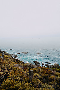 brown and gray fence in front of large body of water during daytime thumbnail