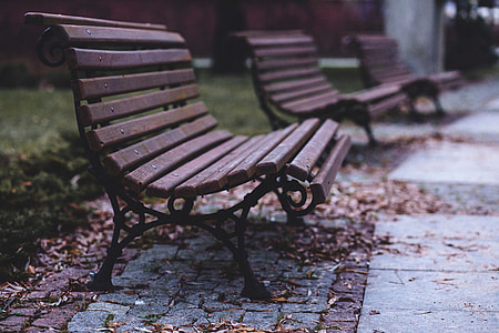 Empty Benches in Park thumbnail