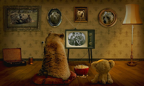 brown bear watching on black CRT TV thumbnail