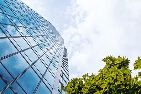 Amazing view from bottom. Windows of office building and sky with clouds thumbnail