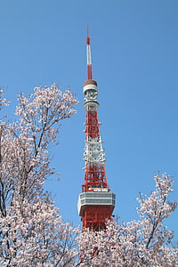 low angle photography of red and white tower near pink tree thumbnail