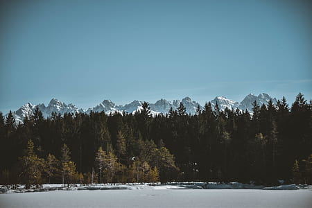 landscape photography of mountains under blue sky thumbnail