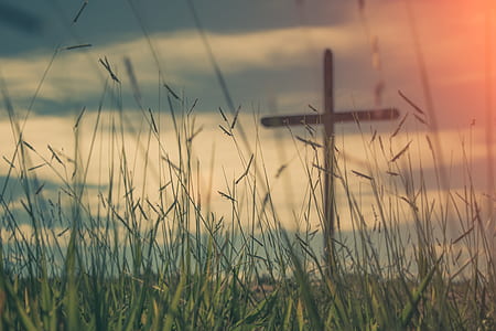 wide angle photo of cross under cloudy sky thumbnail