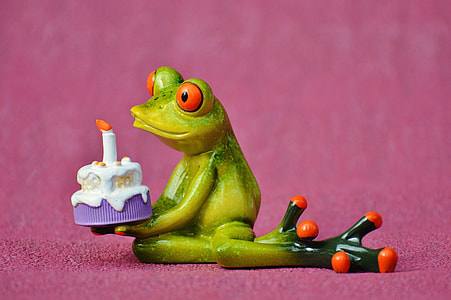 frog holding cake photography thumbnail