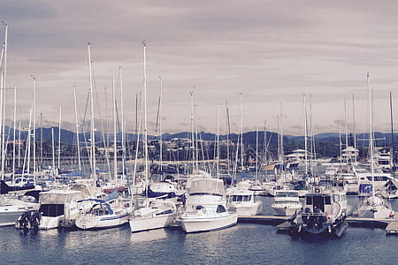 White and Gray Water Boat on Body of Water at Daytime thumbnail