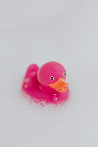 Pink rubber ducky in foam thumbnail