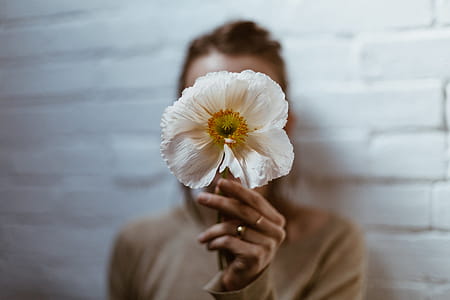 White Poppy In Hand Photo thumbnail