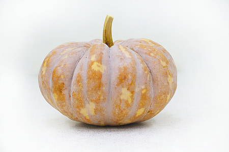 brown squash thumbnail