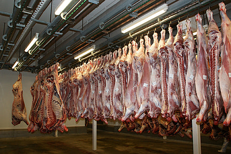 raw meat hanged on hook thumbnail