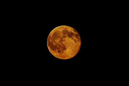 night with blood moon thumbnail