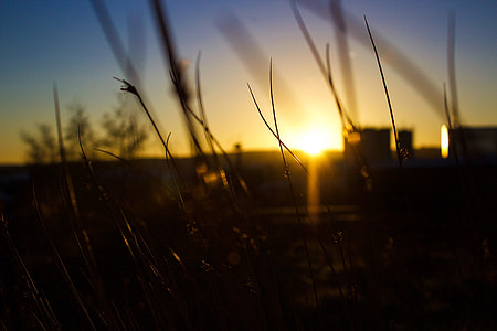 Sunset thumbnail