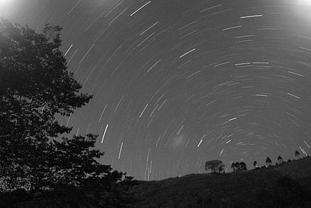 time lapse photography of trees thumbnail
