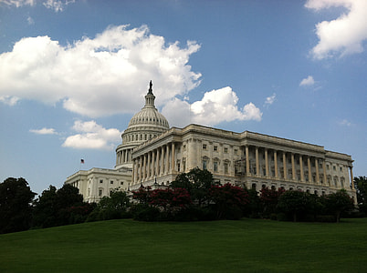 white house building thumbnail