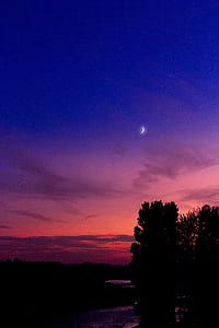 silhouette of trees under blue and orange sky thumbnail