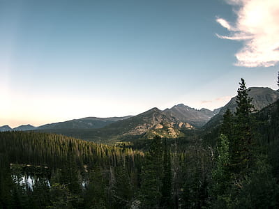 Green Trees thumbnail