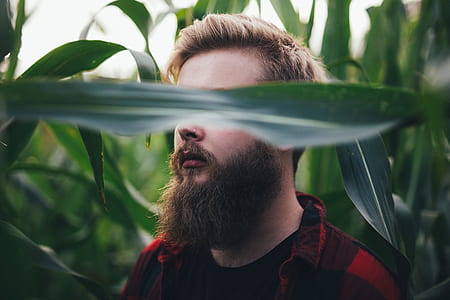 selective focus photography of man standing on cornfield thumbnail