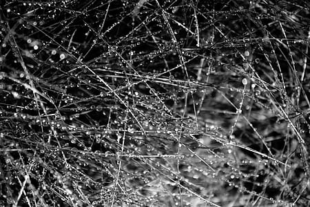 String With Water Droplets thumbnail
