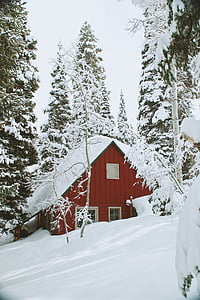 brown house surrounded with snow during daytime thumbnail