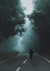silhouette person walking on walkway between forest field thumbnail