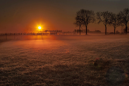 grass field during golden hour thumbnail
