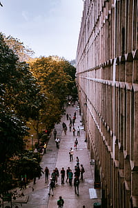 people walking near building thumbnail