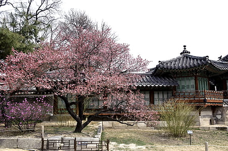 gray wooden house surrounded by trees thumbnail