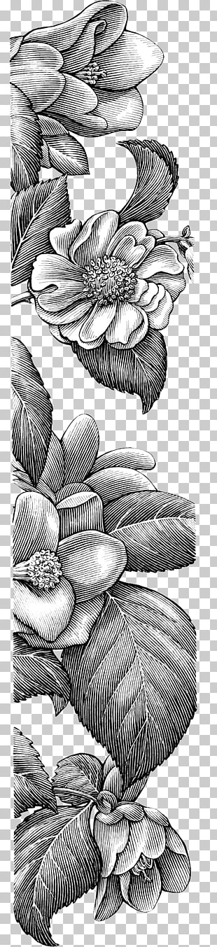 Drawing Line art Visual arts Idea Sketch, Sketch decorative floral borders, white flowers illustration PNG clipart