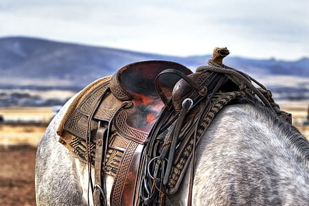 brown leather horse saddle thumbnail