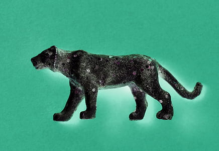 black cat figure thumbnail