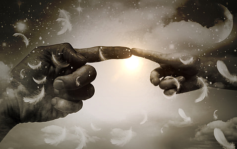 two index finger connected at the tip surrounded by white feathers wallpaper thumbnail