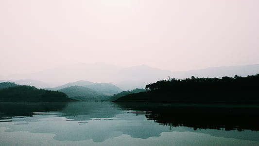 Green Forest Near Body of Water thumbnail