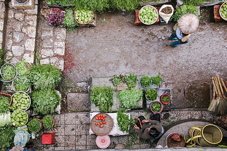 variety of vegetables on display thumbnail