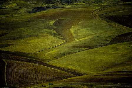 bird's-eye view photography of green field thumbnail