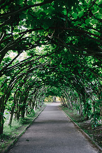 Garden gallery thumbnail