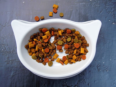 pet food on white ceramic bowl thumbnail