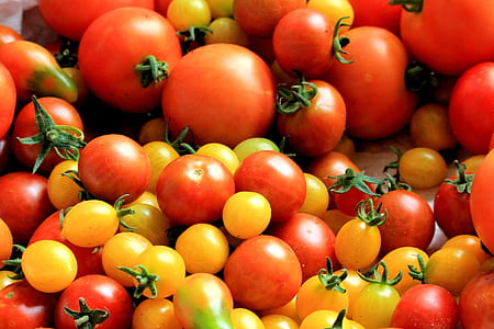 red and yellow tomatoes thumbnail