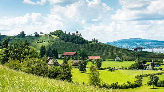 green grass field and houses thumbnail