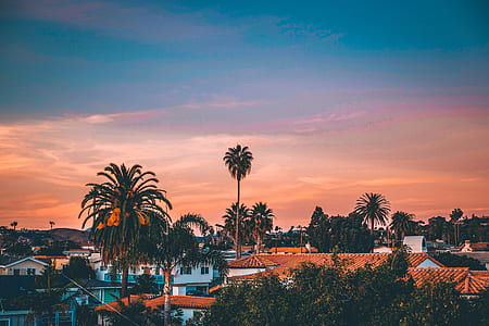 several houses surrounded by trees landscape photograph thumbnail