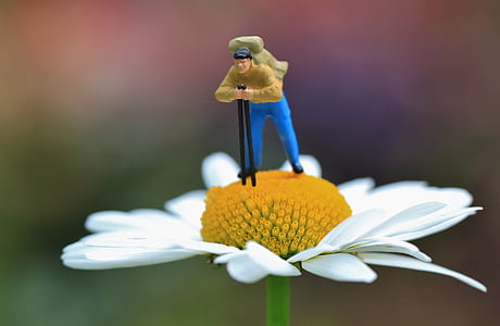 macro photograph of hiker figurine on white petaled flower thumbnail