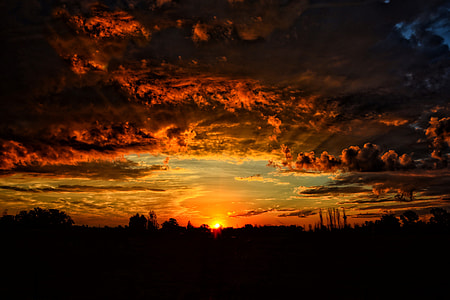 silhouette of tree under sky thumbnail