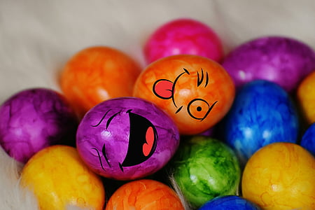 poultry eggs thumbnail