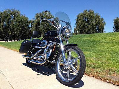 black touring motorcycle parked on roadway near grasses thumbnail