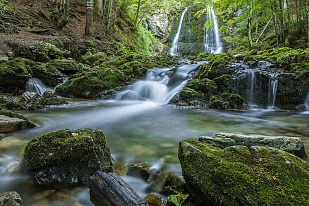 waterfalls surrounded by tall tress thumbnail