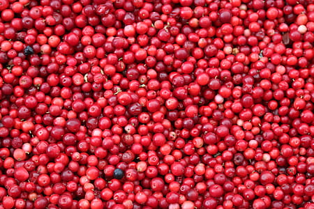 bunch of red pomegranate seeds thumbnail