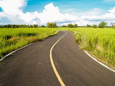Paved Road in Between Green Grass Field thumbnail