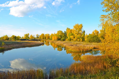 freshwater surrounded by green and brown grass thumbnail