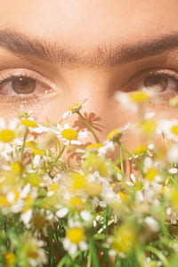 person can be seen through daisies thumbnail