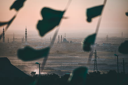 shallow focus photography of buildings thumbnail
